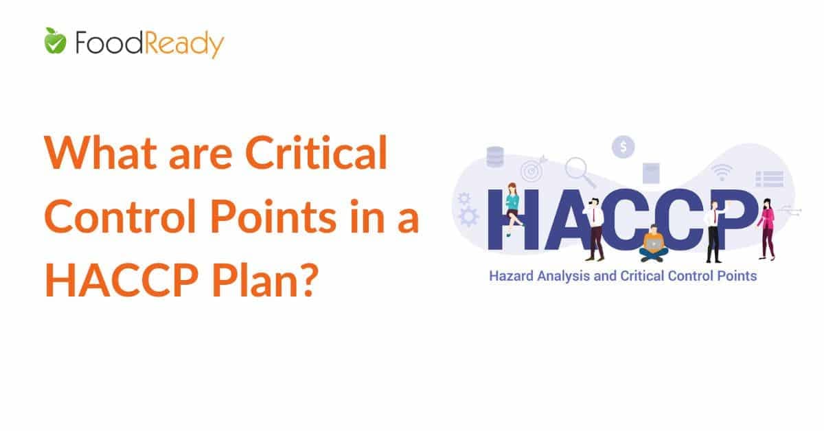 What are Critical Control Points in a HACCP Plan
