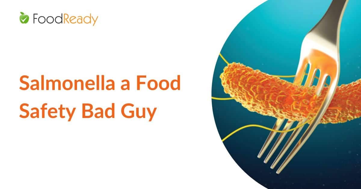 Salmonella a Food Safety Bad Guy