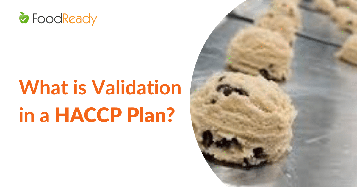 What is Validation in a HACCP Plan?