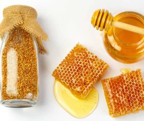 Honey HACCP plan, FoodReady honey HACCP template for food safety.