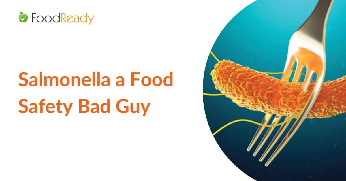 Salmonella a Food Safety Bad Guy FoodReady